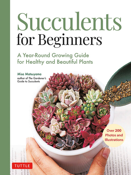 Title details for Succulents for Beginners by Misa Matsuyama - Wait list